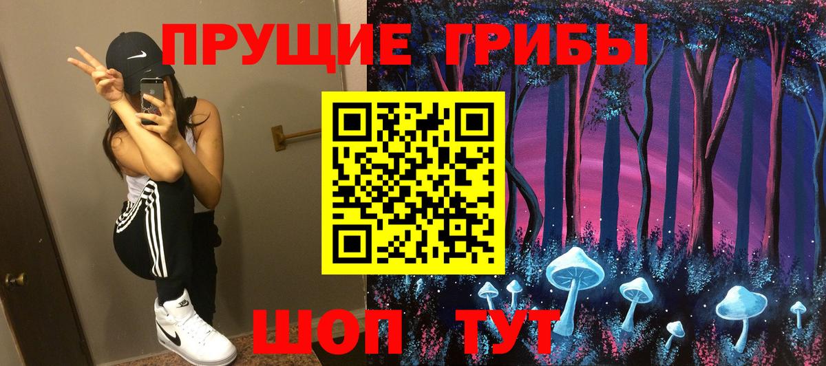 Псилоцибиновые грибы Psilocybine cubensis Грозный