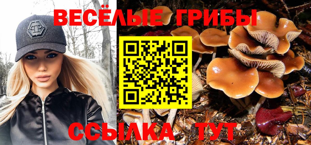 Галлюциногенные грибы Psilocybe  Вход с VPN  Грозный 