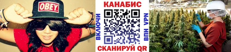 Бошки марихуана семена  Грозный 