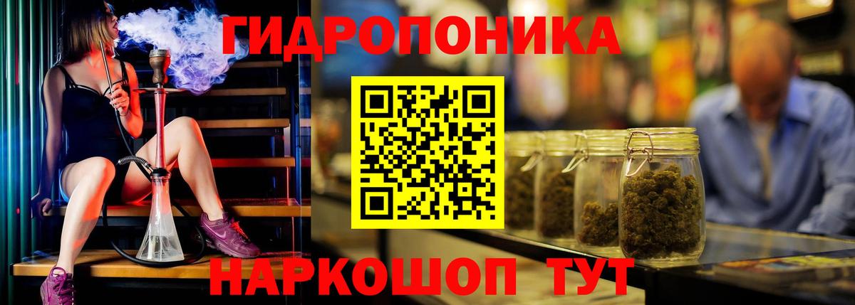 Бошки марихуана сатива Грозный